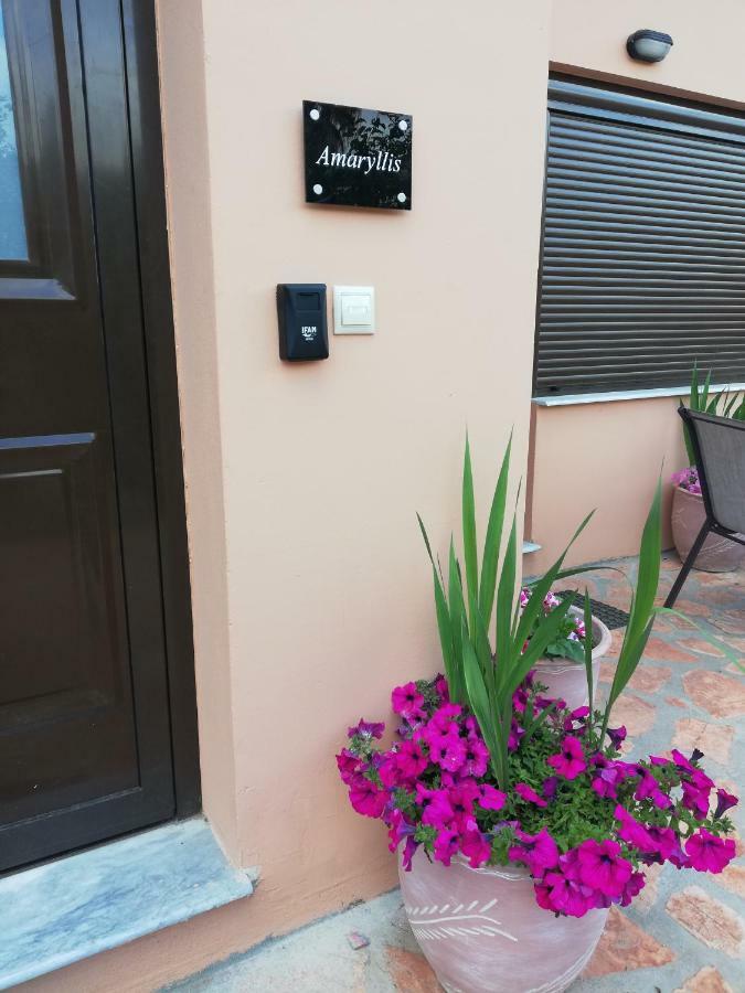 Dimitra - Loft Apartments Corfu  Eksteriør billede
